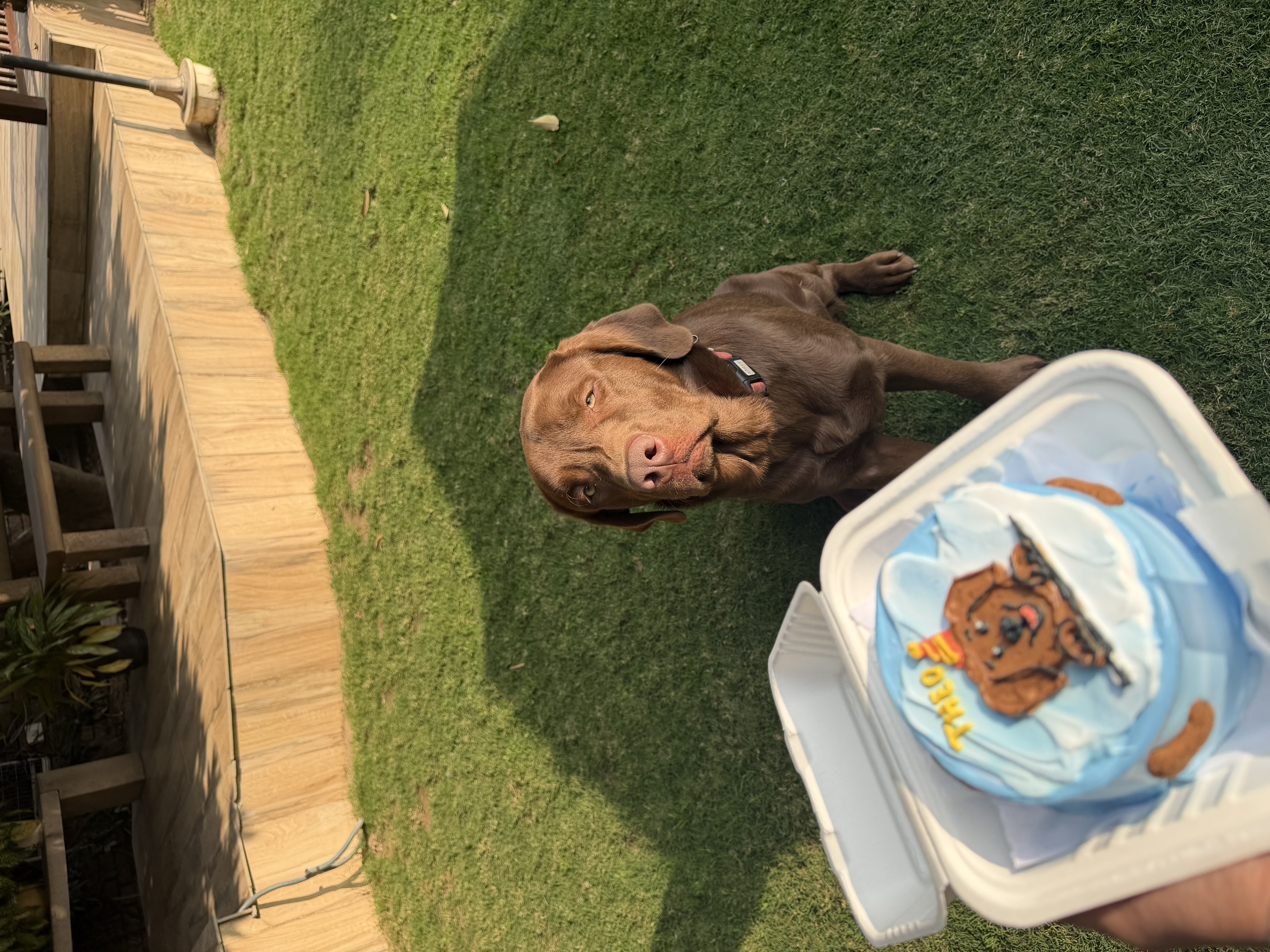 Samyak and Kashveen on an adventure